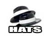 Rhode-Island Party Hats